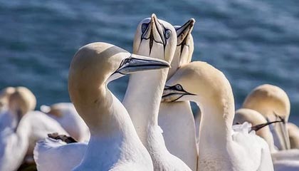 开云网站-中国足球国际合作不断深化，推动青训输出与交流，中国足球青训体系是什么