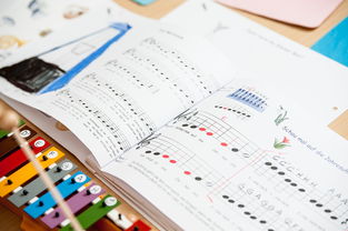 开云体育充值-中小学体育教师继续教育体系建设与实施研究，小学体育继续教育考试试题及答案